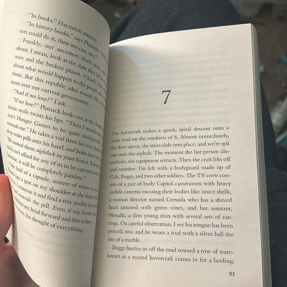 Mockingjay - Picture 3 of 3